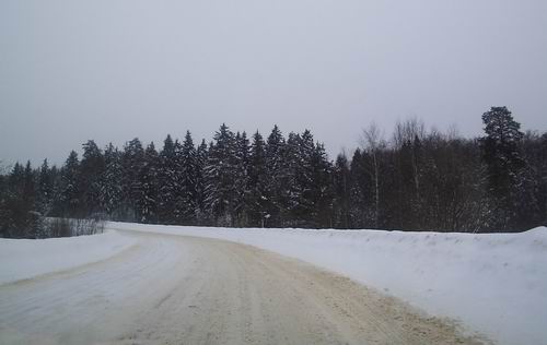 зимний лес и дорога